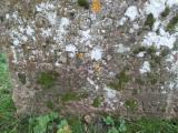 image of grave number 605007